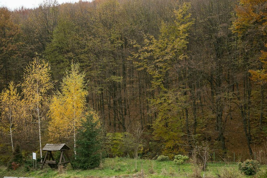 Pensiunea Margareta Budeasa Mică Exterior foto